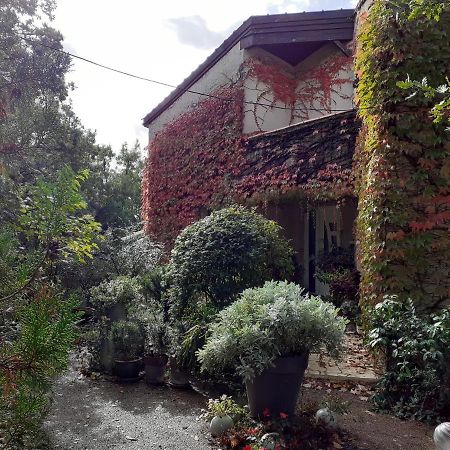 La Bergerie Hotel Lagarrigue  Buitenkant foto